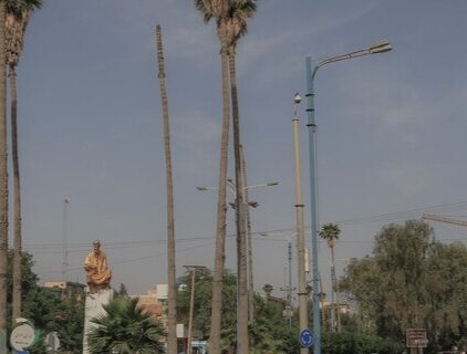 فضای سبز اهواز بر بستر GIS می‌رود/ تعریف مختصات جغرافیایی برای درختان