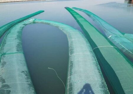 کشف ‌یک میلیون و ۴۰۰ هزار لیتر سوخت قاچاق در خلیج فارس