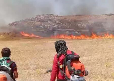 هوس یک لیوان چای، بخشی از دیم زارهای دزفول را به آتش کشید