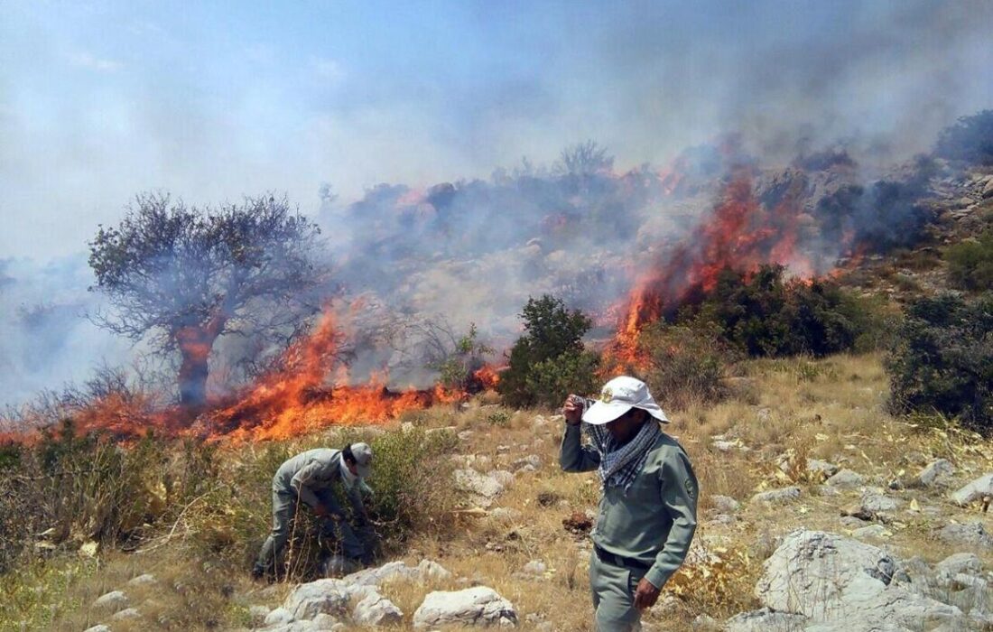 آتشسوزی در منطقه کنارکبوتران صیدون مهار شد