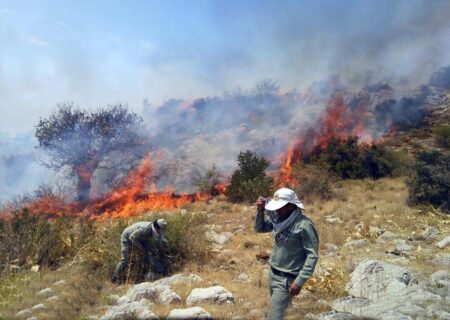 آتش‌سوزی در منطقه کنارکبوتران صیدون مهار شد