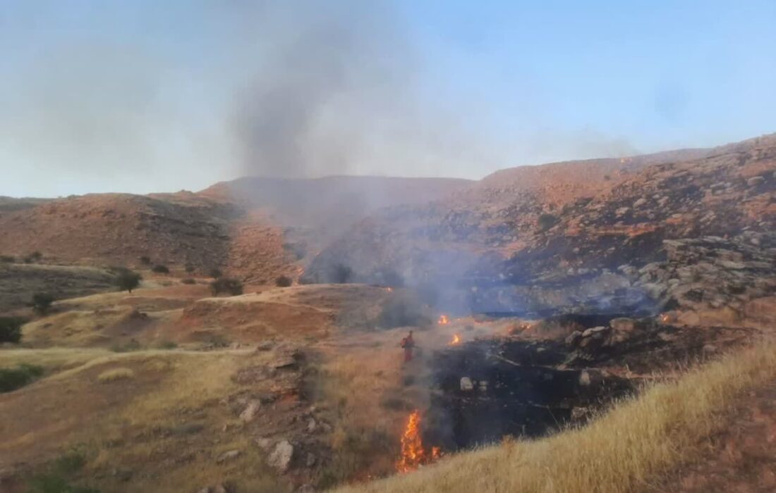 آتش سوزی گسترده در مراتع سالند دزفول