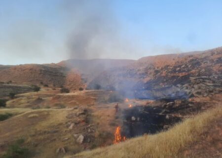 آتش سوزی گسترده در مراتع سالند دزفول