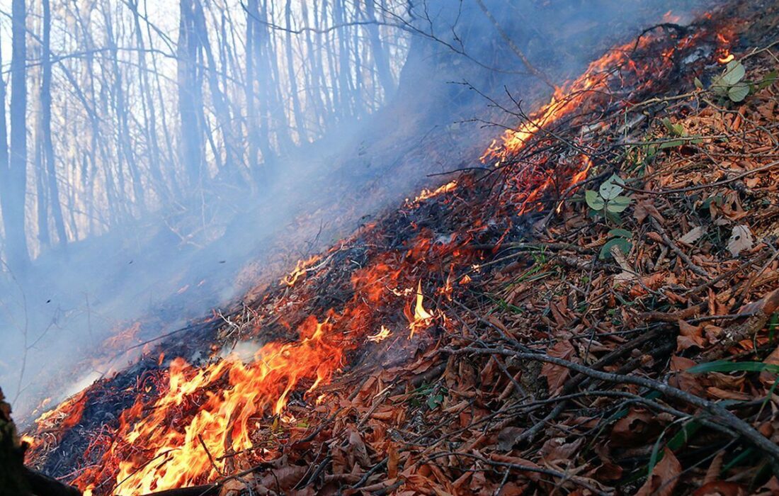 آتش سوزی مال آقا باغملک ، بلوط بلند دهدز و جنگلهای ایذه مهار شد/تلاش جهت مهار بیشه زارهای دزفول و کوه شول اندیکا همچنان ادامه دارد