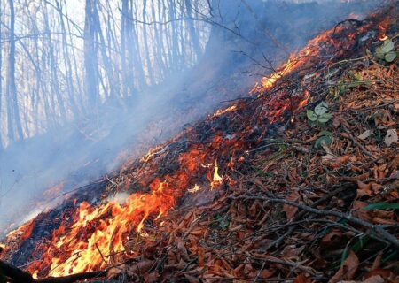 آتش سوزی مال آقا باغملک ، بلوط بلند دهدز و جنگلهای ایذه مهار شد/تلاش جهت مهار بیشه زارهای دزفول و کوه شول اندیکا همچنان ادامه دارد