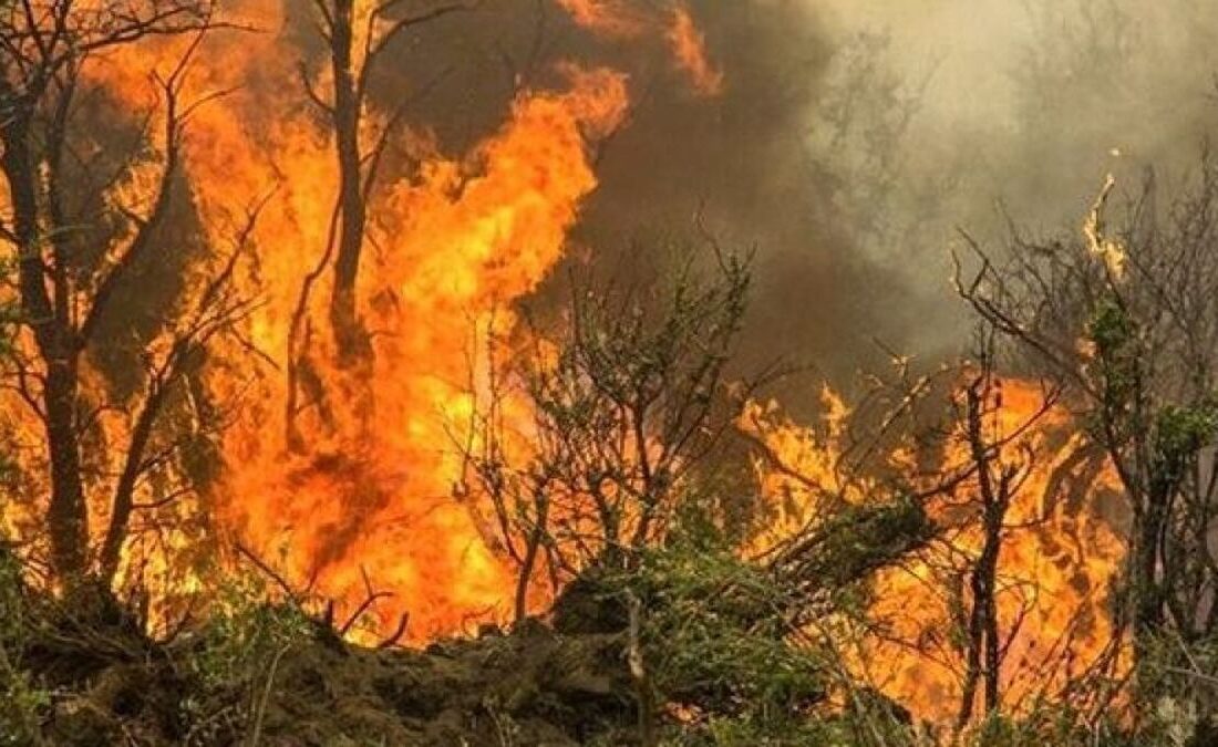 آتش سوزی گسترده در پارک ملی دز خوزستان