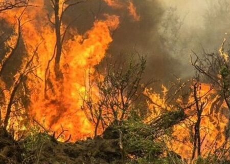 آتش سوزی گسترده در پارک ملی دز خوزستان