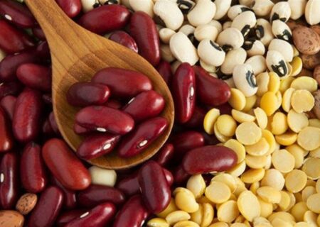 حبوبات هم لاکچری شد/ قیمت لوبیا به ۵۰۰ هزار تومان رسید