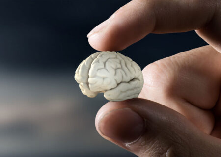 ضعیف شدن حافظه از علائم کمبود این ویتامین است