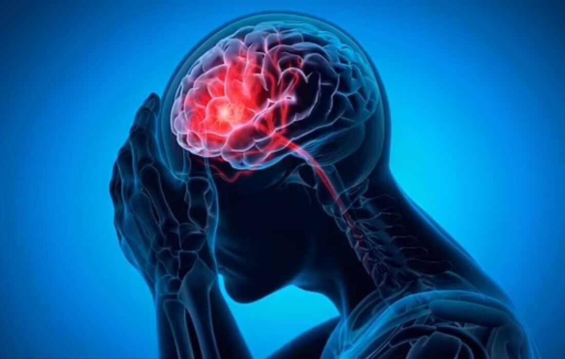 این ماده غذایی مغز را تقویت می‌کند