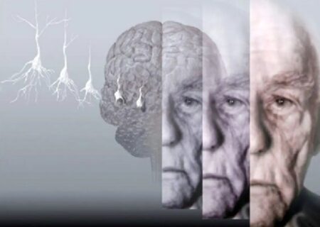 ۵ روش برای حفظ عملکرد مغز