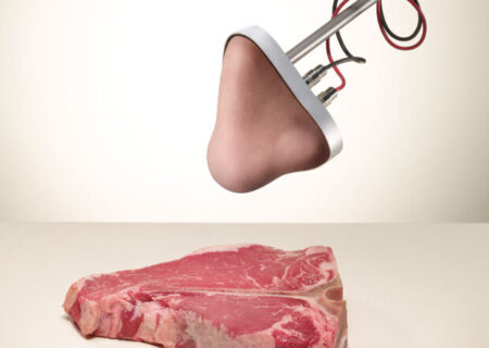 بینی مصنوعی ساخت کره‌جنوبی/ انواع رایحه را به دقت تشخیص می‌دهد