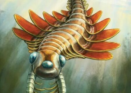 کشف جانوری ۵۰۰ میلیون‌ساله/ هیولای دریایی سه‌چشم با بدن خاردار