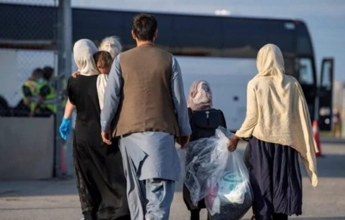 خبر مهم سخنگوی دولت درباره مهاجران افغان