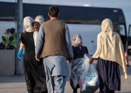 خبر مهم سخنگوی دولت درباره مهاجران افغان