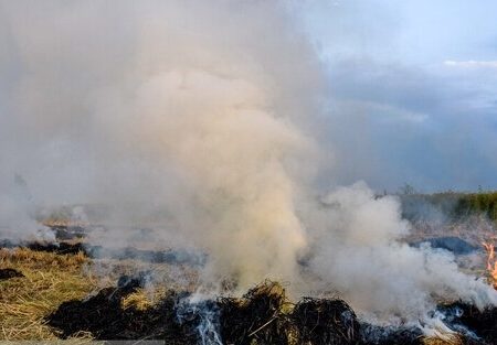 لزوم خودداری کشاورزان از سوزاندن بقایای مزارع خوزستان در فصل برداشت