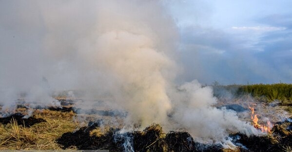لزوم خودداری کشاورزان از سوزاندن بقایای مزارع خوزستان در فصل برداشت
