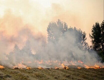 دود سیاه آتش مزارع در گلوی خوزستان