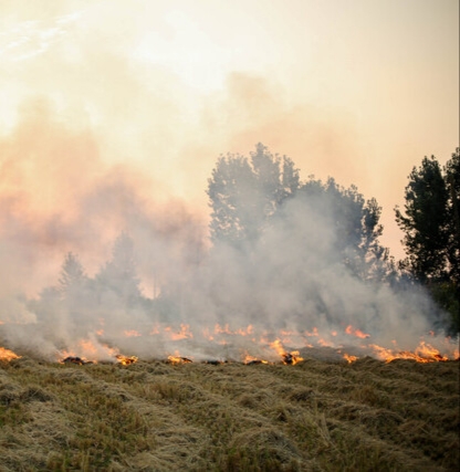 دود سیاه آتش مزارع در گلوی خوزستان