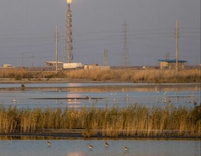 آلودگی هوا در ۵ شهر خوزستان