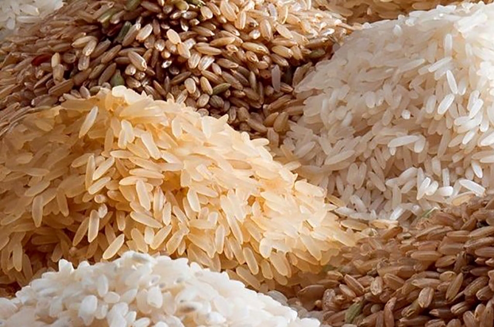 ممنوعیت واردات برنج دانهبلند هندی از 10 خرداد کلید خورد