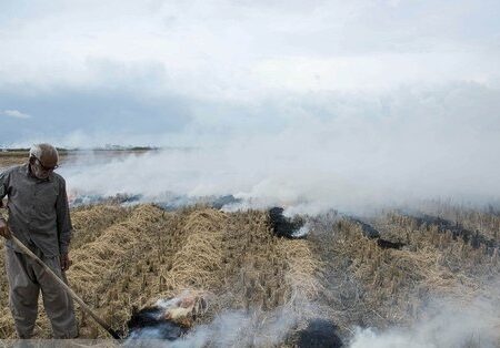 معرفی ۵۰ نفر از کشاورزان عامل آتش‌سوزی مزارع اهواز به مراجع قضایی