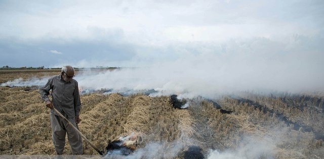 معرفی ۵۰ نفر از کشاورزان عامل آتش‌سوزی مزارع اهواز به مراجع قضایی