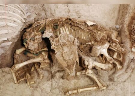 کشف اسکلت‌های ۴۰۰۰ ساله در بابل