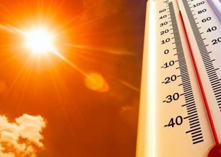 کاهش خطرناک منابع آبی و گرمای شدید، گونه های جانوری و گیاهی بوشهر را تهدید می کند