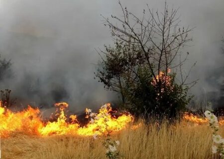 ادامه‌ی آتش‌سوزی در ارتفاعات منگره بخش الوارگرمسیری اندیمشک/فرماندار: چون پیش‌بینی کرده بودیم، آمادگی داشتیم!!