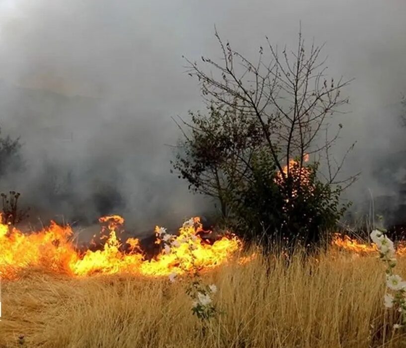 ادامهی آتشسوزی در ارتفاعات منگره بخش الوارگرمسیری اندیمشک/فرماندار: چون پیشبینی کرده بودیم، آمادگی داشتیم!!