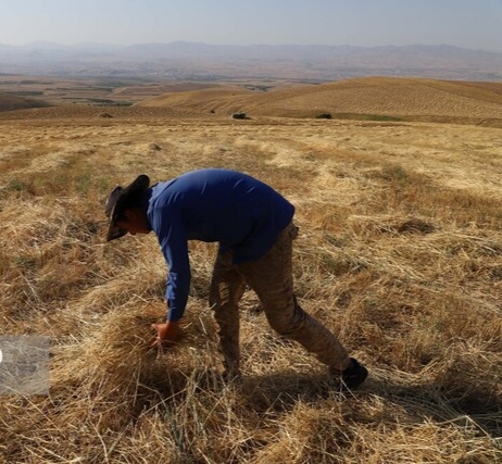 تسریع در پرداخت مطالبات و تعلیق جریمههای کشاورزان خوزستان تصویب شد