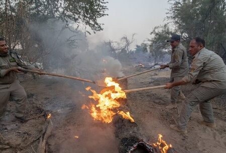 لزوم آماده‌باش مدیریت بحران خوزستان برای مهار حریق عرصه‌های محیط زیست