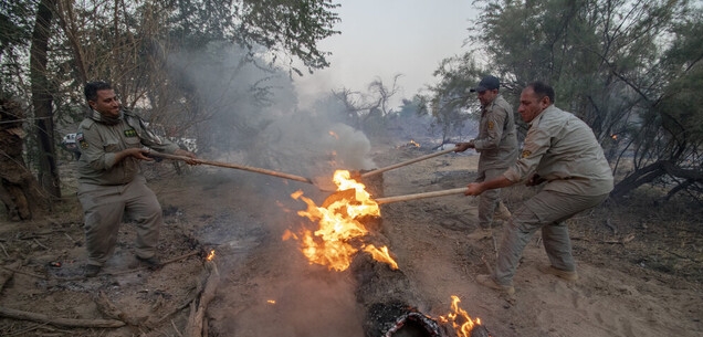 لزوم آمادهباش مدیریت بحران خوزستان برای مهار حریق عرصههای محیط زیست