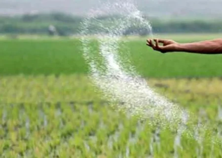 بیش از ۱۰ هزار تن کود کشاورزی در خوزستان توزیع شد