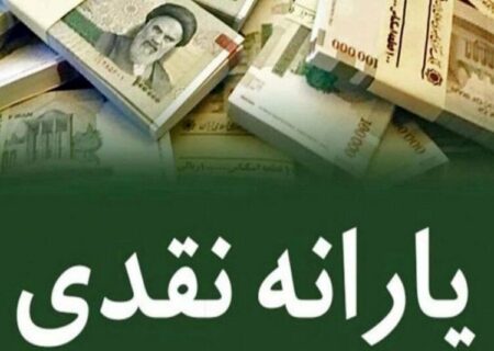 امکان حذف عضو مجرد بالای ۱۸ سال از یارانه نقدی خانوار فراهم شد