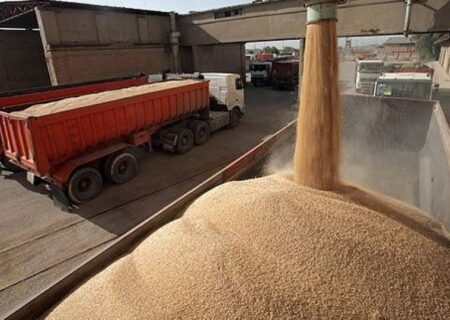 تولید گندم در اندیمشک از ۹۰ هزار تُن گذشت