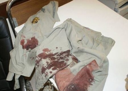 علل افزایش شهادت محیط بانان چیست؟