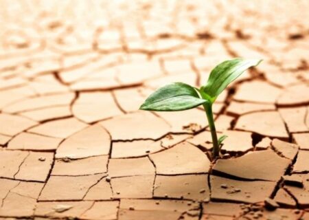 اقلیم کشور در خطر؛ ۵۰ تا ۷۰ میلیون ایرانی تا ۱۴۲۰ با بحران اقلیمی مواجهند/ کدام نواحی در معرض «مهاجرت اجباری» هستند؟