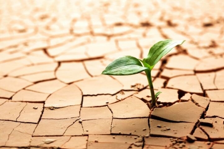 اقلیم کشور در خطر؛ ۵۰ تا ۷۰ میلیون ایرانی تا ۱۴۲۰ با بحران اقلیمی مواجهند/ کدام نواحی در معرض «مهاجرت اجباری» هستند؟