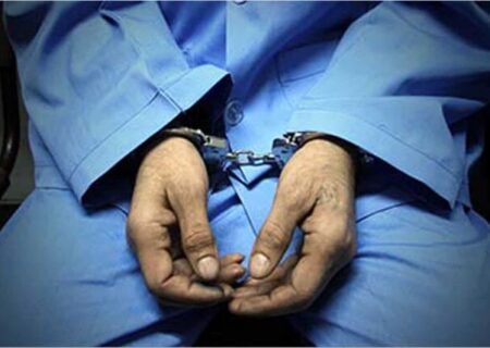 بازداشت ۱۸ نفر از مخلان امنیت عمومی در لرستان