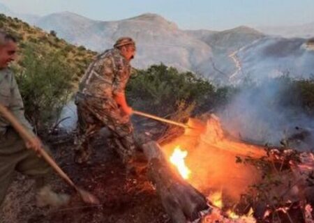 بی‌احتیاطی مسافران علت آتش‌سوزی در پارک ملی گلستان