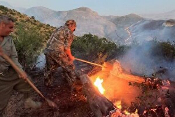 بیاحتیاطی مسافران علت آتشسوزی در پارک ملی گلستان