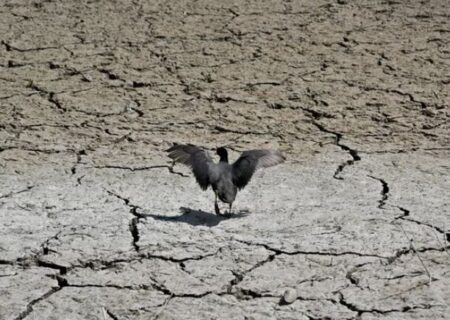 بهار خشک در اروپا و ثبت دومین ماه مه گرمِ تاریخ در جهان