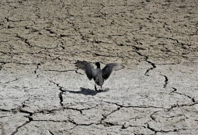 بهار خشک در اروپا و ثبت دومین ماه مه گرمِ تاریخ در جهان