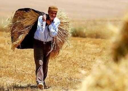 70 درصد مطالبات گندمکاران پرداخت نشده است / قطع 7 ساعته برق، روزانه یک‌ سوم تولید کشاورزان را از بین برد