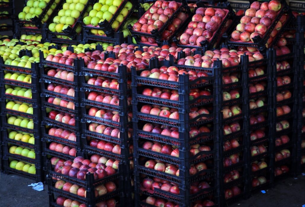 میادین جدید عرضه کالای اساسی و میوه و ترهبار در اهواز راه اندازی میشود