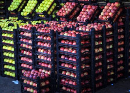 میادین جدید عرضه کالای اساسی و میوه و تره‌بار در اهواز راه اندازی می‌شود