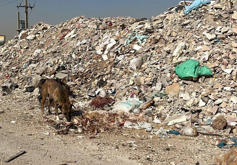 شهردار: اهواز با معضل تخلیه نخاله در معابر روبرو است