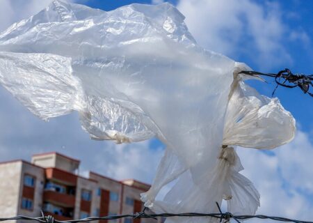 هر ایرانی روزانه چند کیسه پلاستیکی مصرف می کند؟